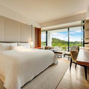King Room with Mountain View