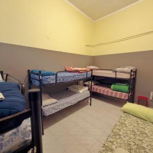 Bed in 6-Bed Mixed Dormitory Room