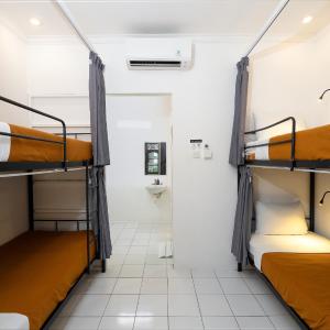 Single Bed in Dormitory Room