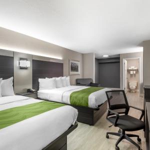Queen Room with Two Queen Beds - Accessible/Non-Smoking 