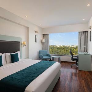 Winter Green King Room with Limited View
