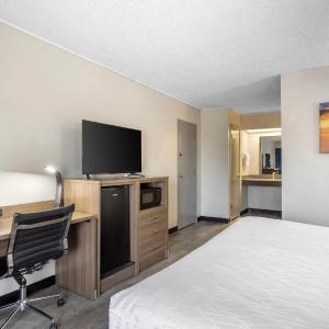 King Room with Roll-in Shower - Mobility Access/Non-Smoking
