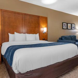 King Room with Sofa Bed