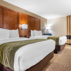 Queen Room with Two Queen Beds - Non-Smoking