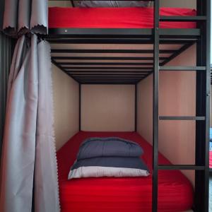 Bed in 4-Bed Dormitory Room