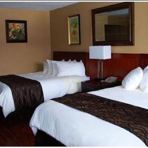 Deluxe Double Room-Non Smoking