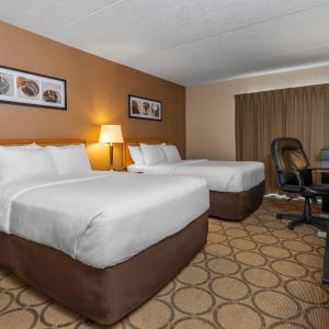 Deluxe Room with Two Double Beds - Ground Floor
