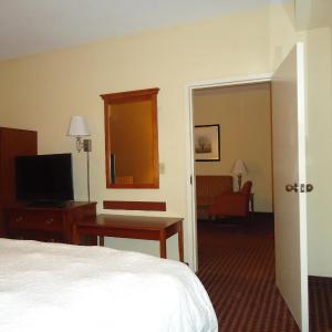 One-Bedroom King Suite with Sofa Bed - Non-Smoking