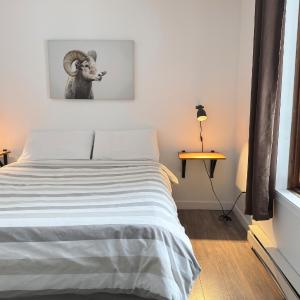 Superior One-Bedroom Apartment