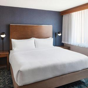 Larger One-Bedroom King Suite with Kitchenette, Living Room and Sofa Bed