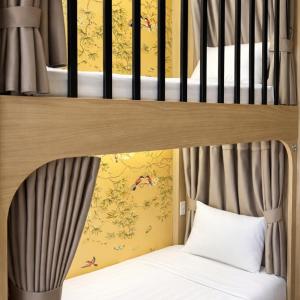 Bunk Bed in Mixed Dormitory Room
