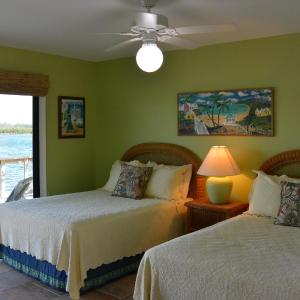 Double Room with View