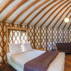 Hillside Yurt - Sleeps 4, Pet Friendly