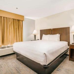 Pet Friendly King Room
