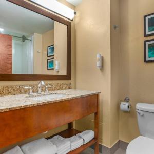 King Suite with Sofa Bed - Non-Smoking
