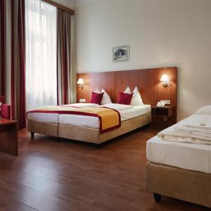 Basic Triple Room