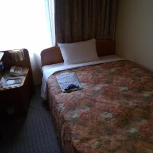 Standard Single Room - Non-Smoking