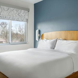 One-Bedroom King Suite with Sofa Bed and Transfer Shower - Mobility/Hearing Accessible