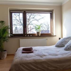 Large Twin Room