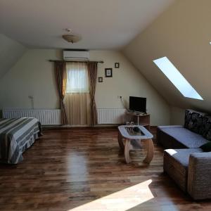 Studio with Sofa Bed