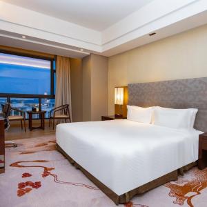 Premier Cityview King Room