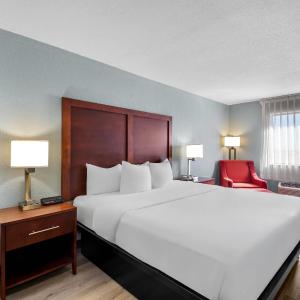 King Room - Non-Smoking