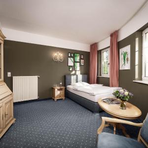 Single Room with Lake View