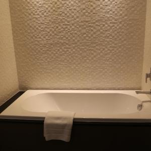 Premier Double or Twin Room