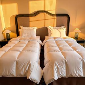 Accessible Room