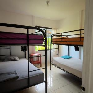 Bed in 4-Bed Mixed Dormitory Room