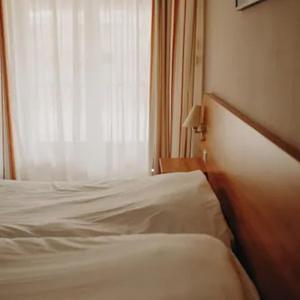 Standard Twin Pavilion Park View Room
