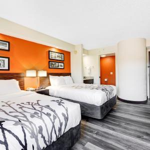 Double Room with Two Double Beds and Roll-in Shower - Mobility Access/Non-Smoking