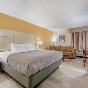 King Room - Non-Smoking/Pet Friendly
