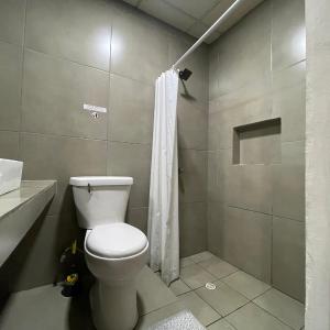 Single Bed in Mixed Dormitory Room