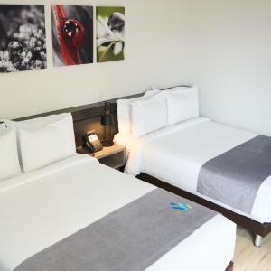 Double Room with Two Double Beds