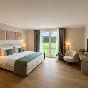 Superior Single Room