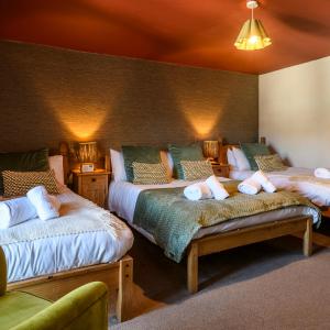 Family Suite (2 Adults + 1 Child)
