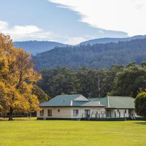 King Room with Mountain View