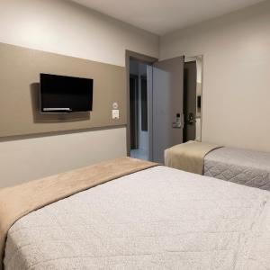 Family Room with 2 Double Beds and 1 Single Bed