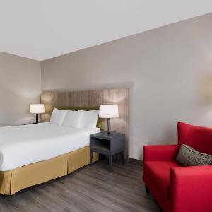 One-Bedroom King Suite