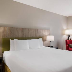 King Room - Pet Friendly