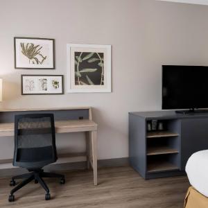 King Studio with Sofa Bed