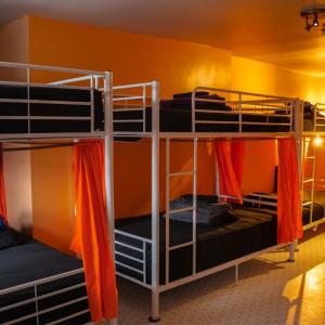 Bed in 10-Bed Mixed Dormitory Room