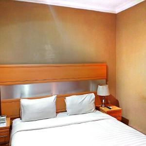 Deluxe Room (Annex 2) 