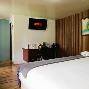 Superior Double or Twin Room with Terrace