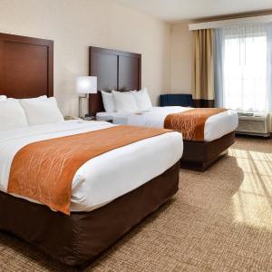 Queen Room with Two Queen Beds - Non-Smoking