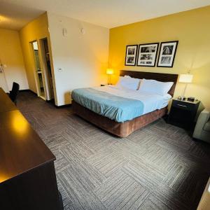 King Room - Non-Smoking