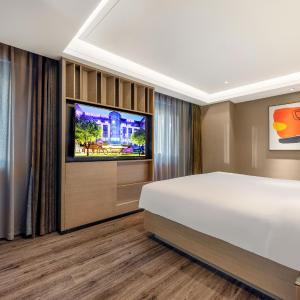 Deluxe Suite with One King Bed