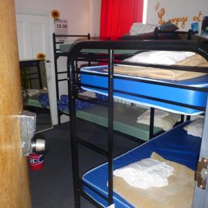 Bed in 8-Bed Mixed Dormitory Room