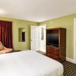 Superior King Suite